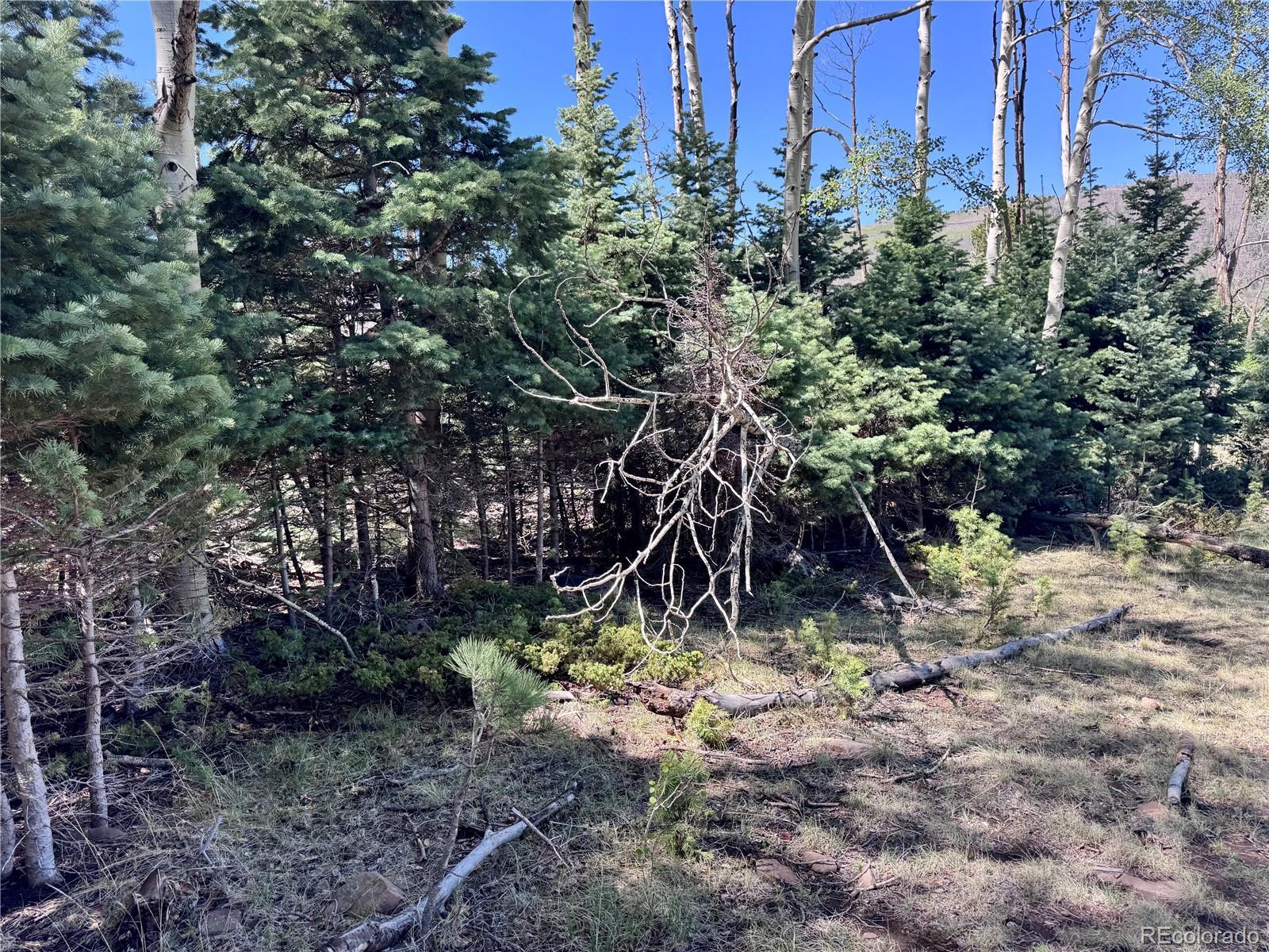 Image 4 Image 4