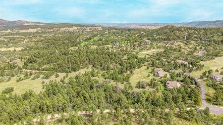 7013 Cinque Tail Drive