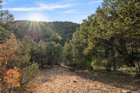 000 Sunnybrook Trail