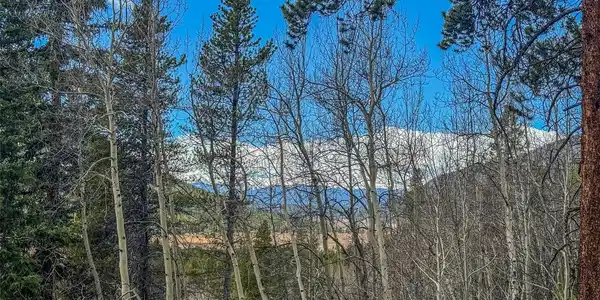 Buckeye Gulch Road