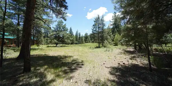 136 Elk Meadow Run