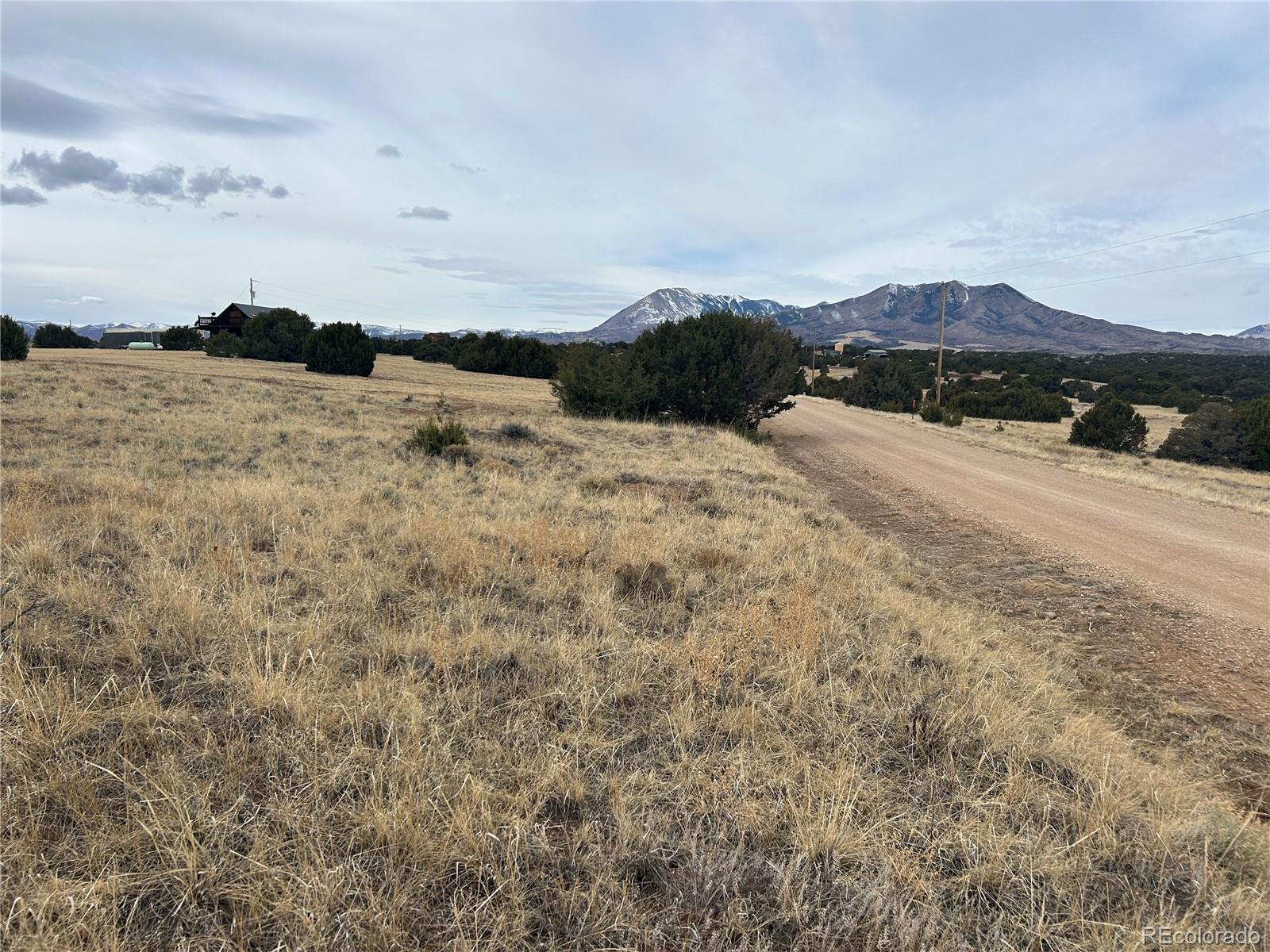 Image 4 Image 4