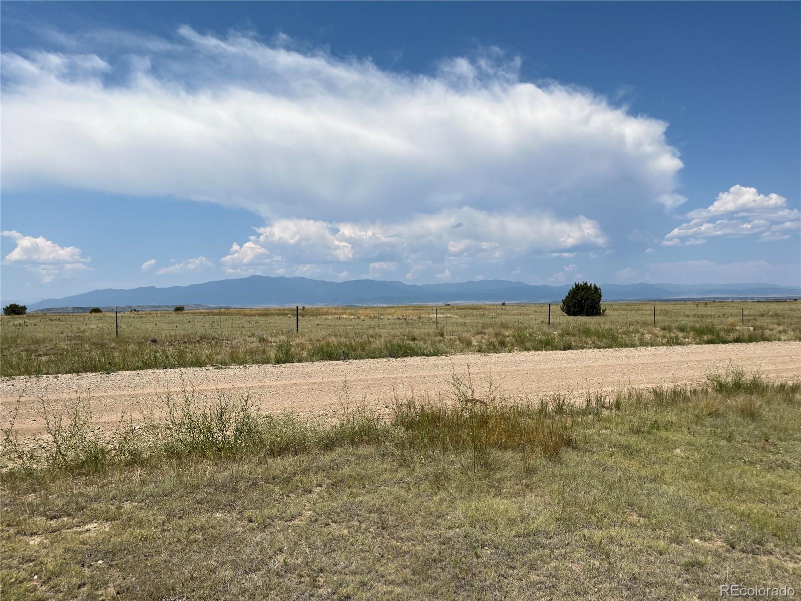 Image 3 Image 3