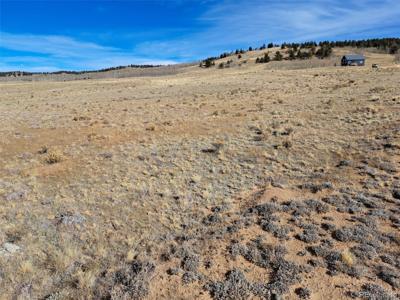 513 Night Hawk Circle