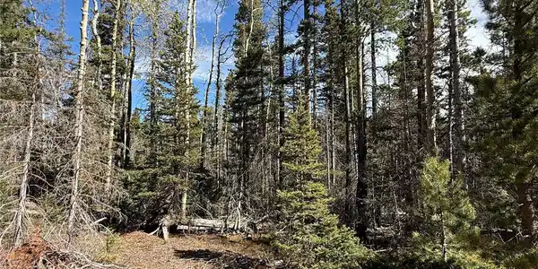 Image 4 Image 4
