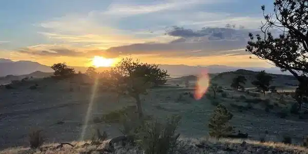 6022 Marca Monte Trail