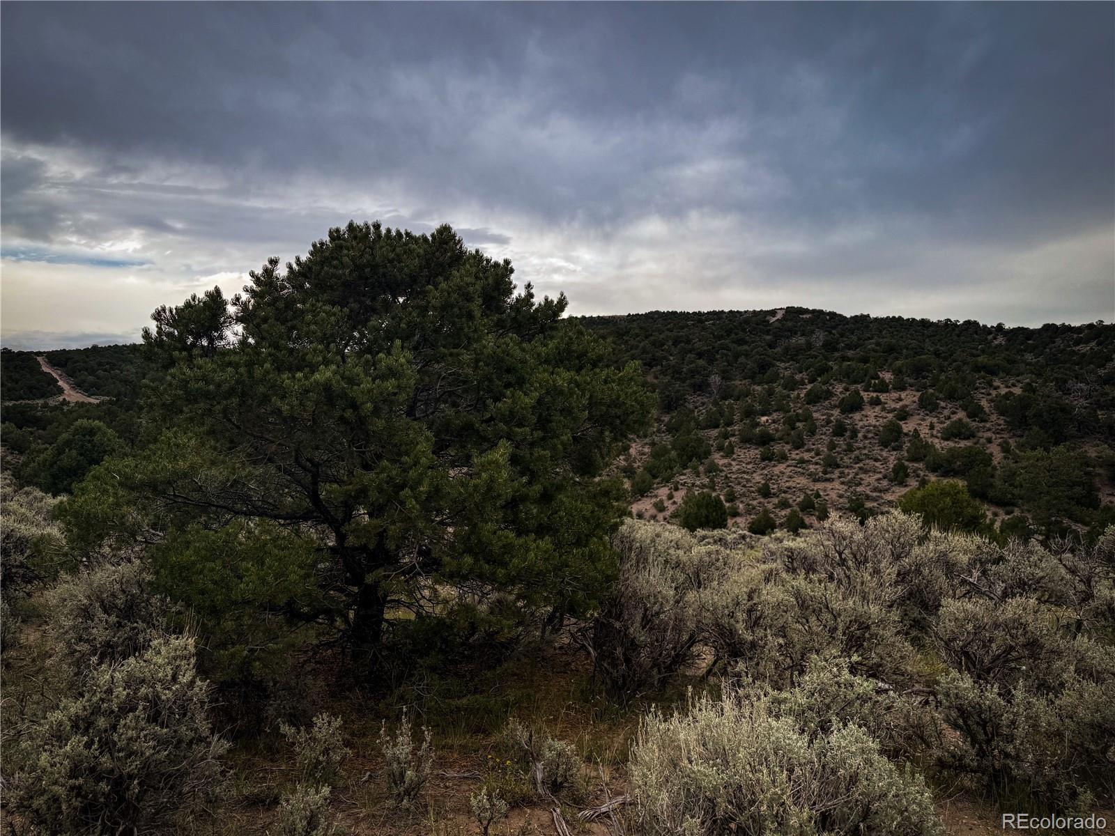 Image 1 Image 1