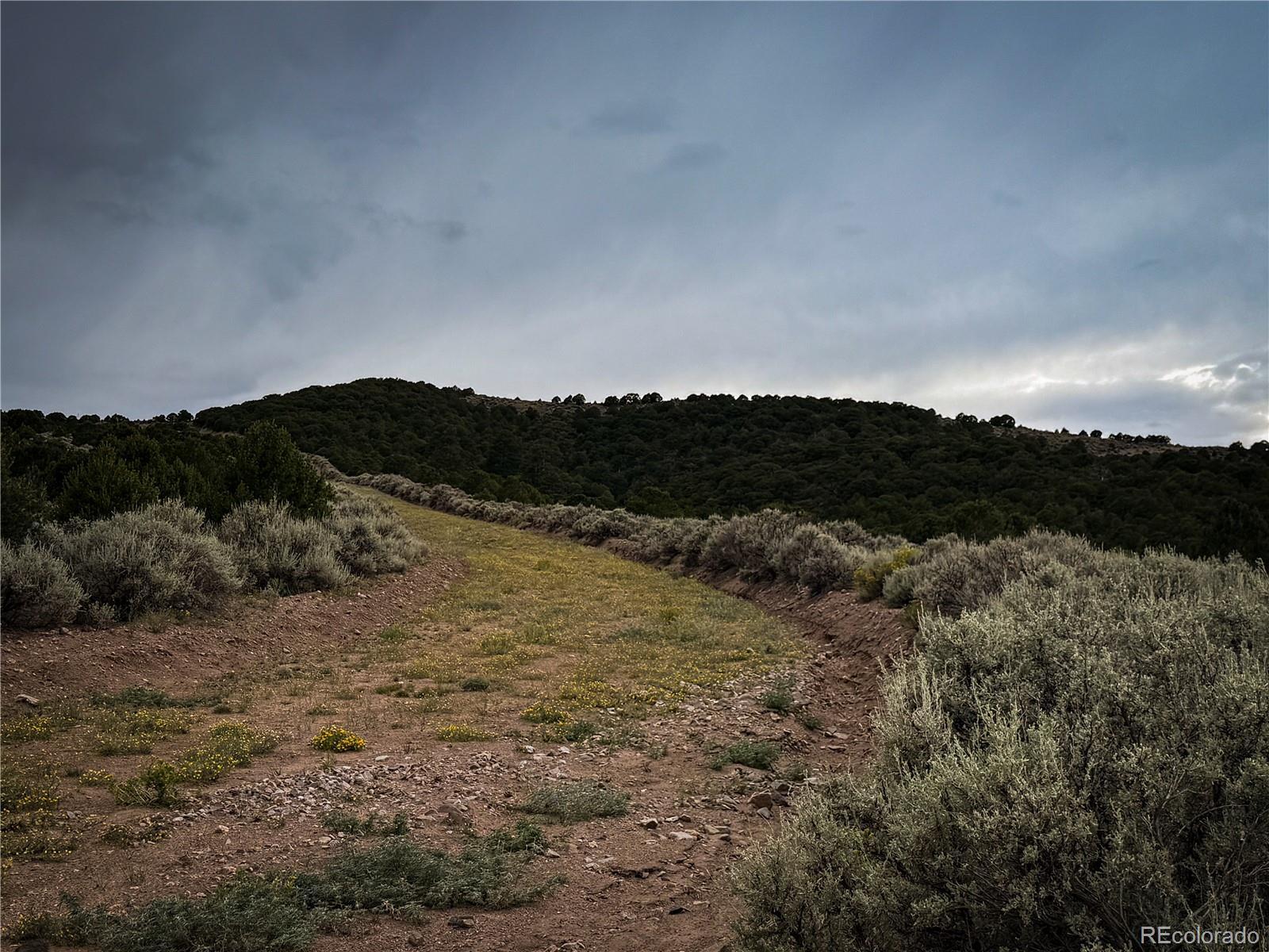 Image 4 Image 4