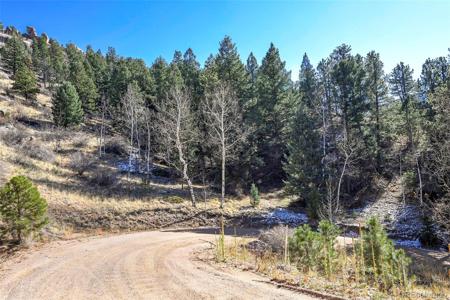 186 Alpine Drive