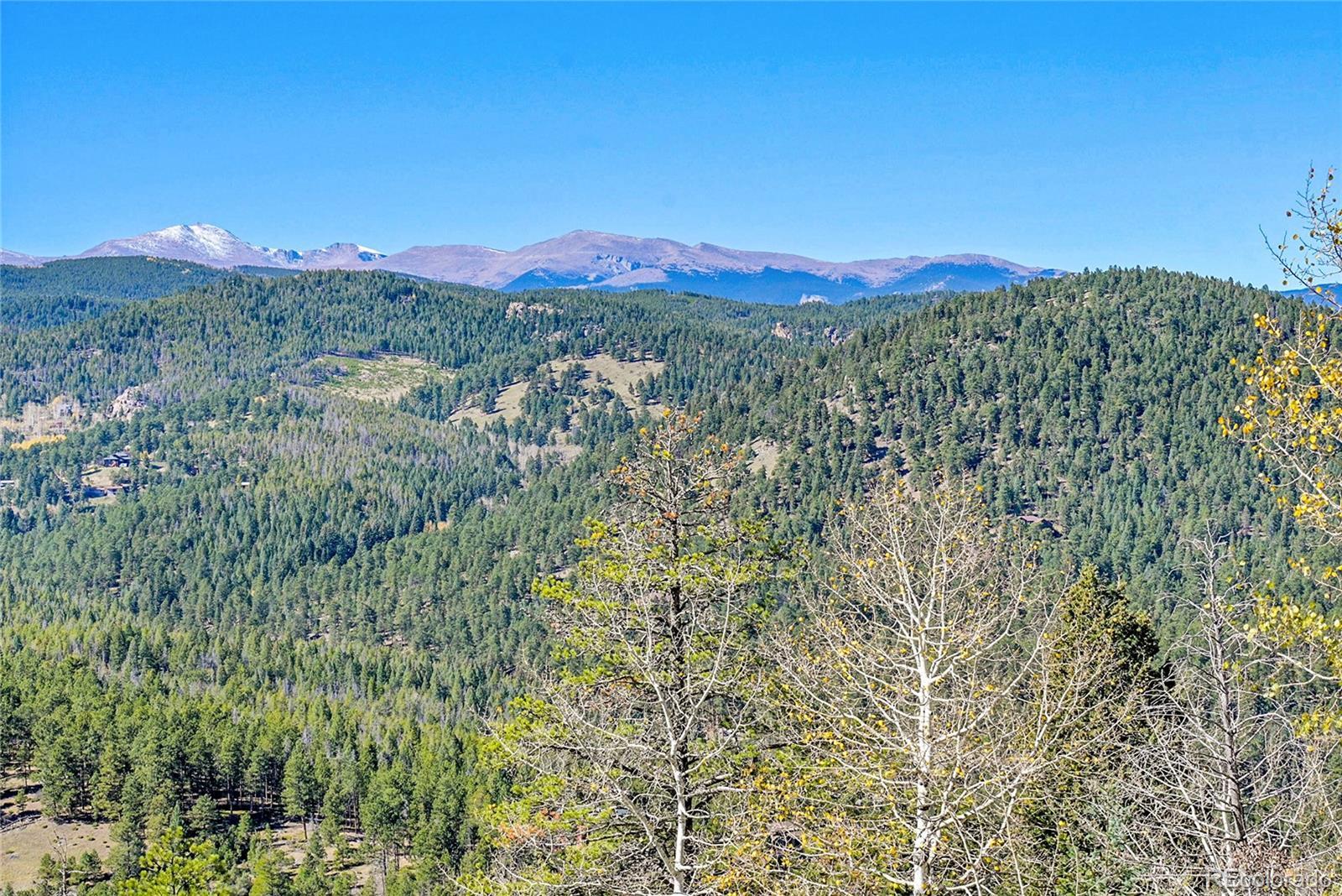 Image 4 Image 4