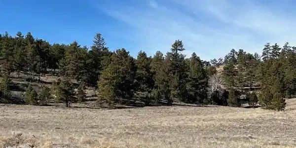 TBD Highway 9