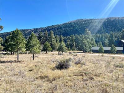 166 Lonesome Pine Drive