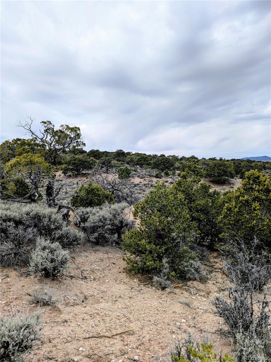 Image 3 Image 3