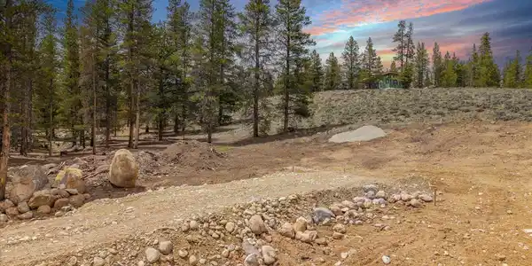 123 Birch Drive