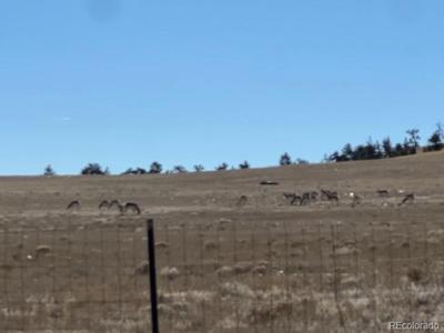 TBD Highway 24