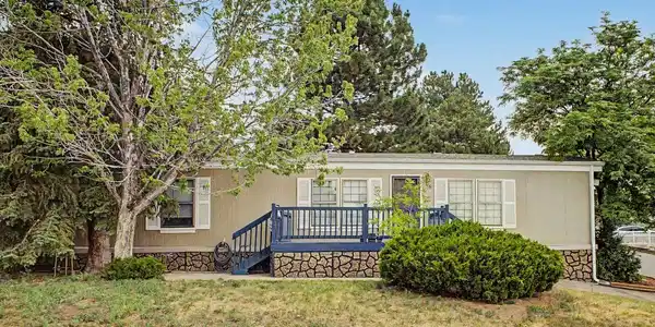 76 Pinecone Street