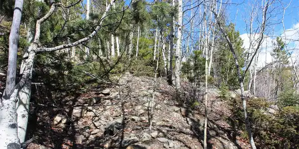 Image 3 Image 3