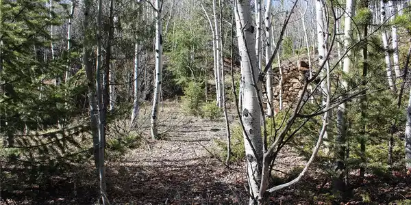 Image 4 Image 4