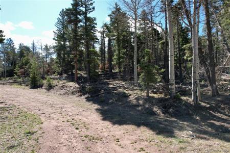 2966 Kemper Loop