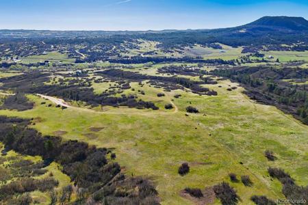 5250 Tall Horse Trail