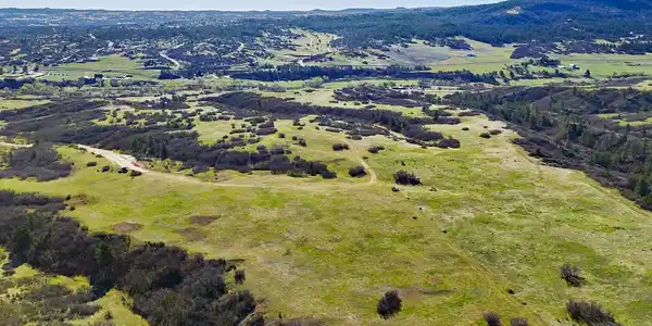 5250 Tall Horse Trail
