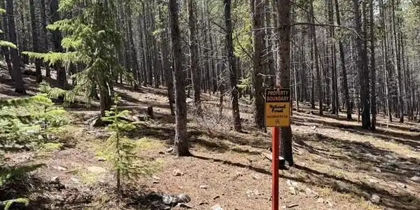Image 4: Backs to national forest Image 4: Backs to national forest