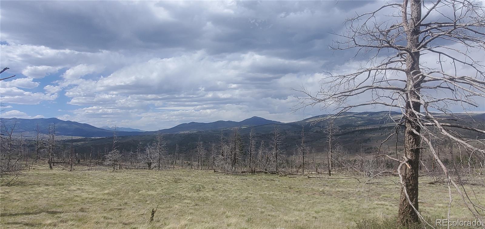 Image 3 Image 3
