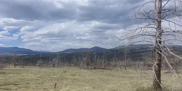 Image 3 Image 3