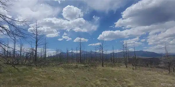Image 4 Image 4
