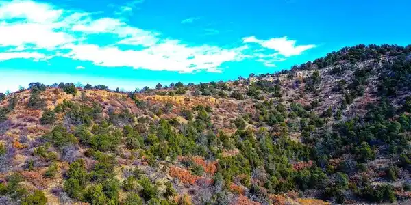 14 Fishers Peak Ranch