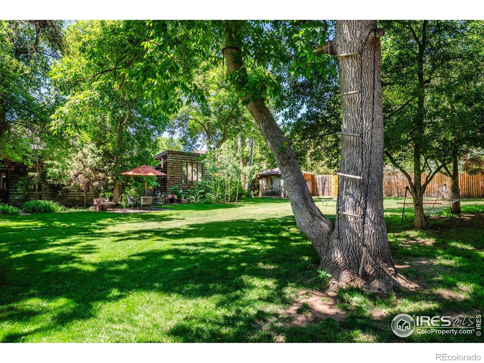 Image 1: Park-Like Backyard on .56 Acre Lot Image 1: Park-Like Backyard on .56 Acre Lot