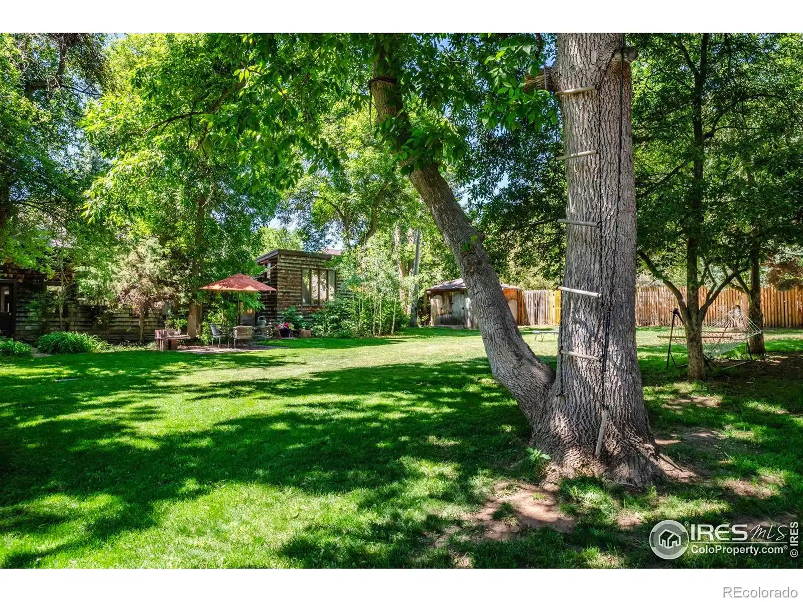 Image 1: Park-Like Backyard on .56 Acre Lot Image 1: Park-Like Backyard on .56 Acre Lot