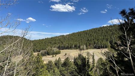 005 Pewabic Mine Road