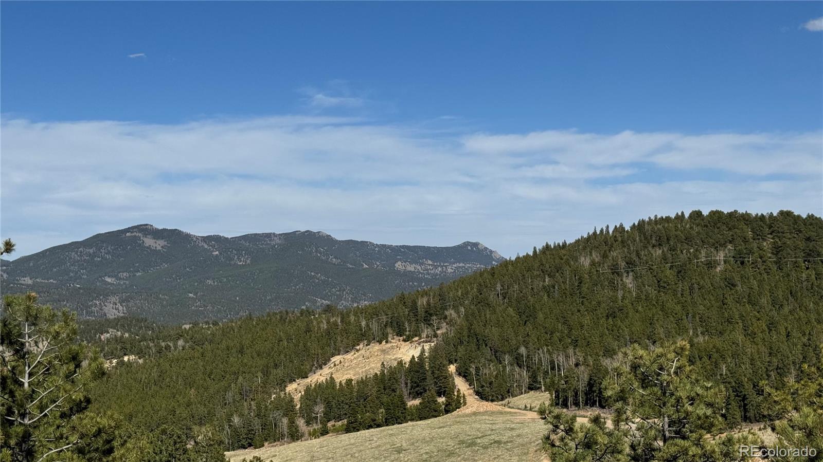 Image 3 Image 3