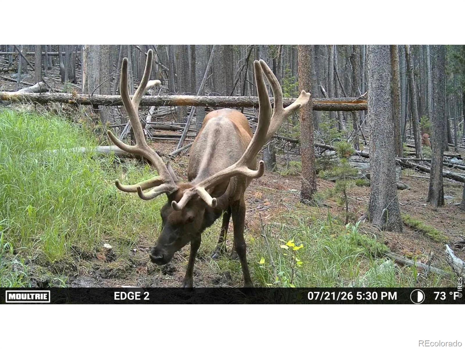 Image 1 Image 1