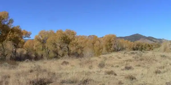 Lot 90 Prairie Wind Lane