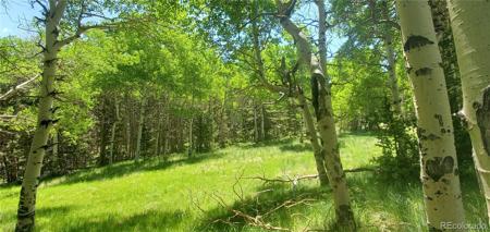 Lot 3085 Henderson Lane