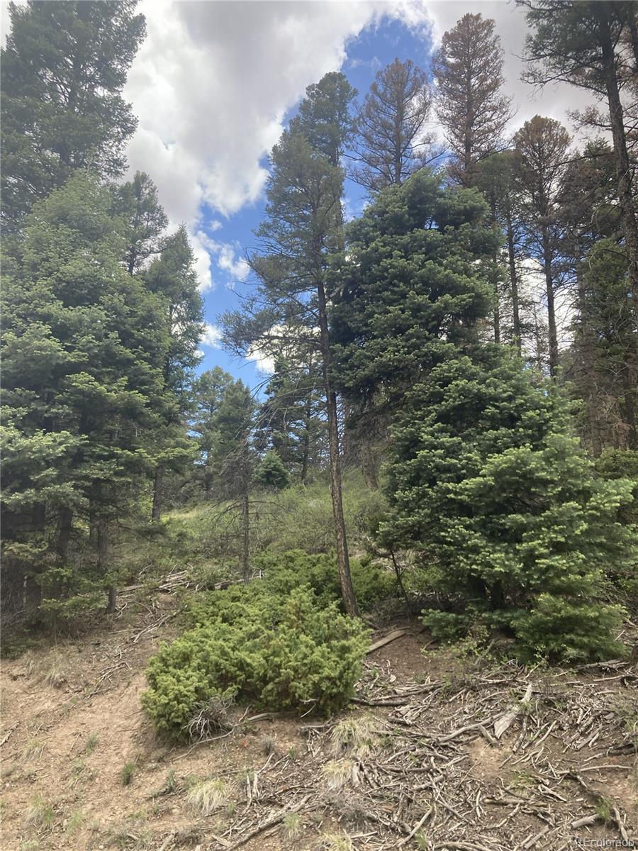 Image 4 Image 4