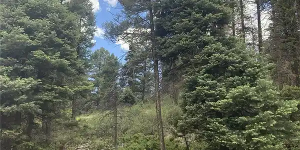 Image 4 Image 4