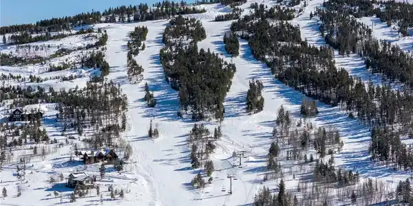 Image 4 Image 4