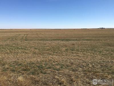 590 County Road 67