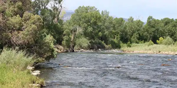 10817 US Highway 50
