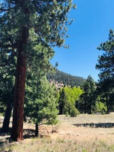 133 W Canyon View Drive