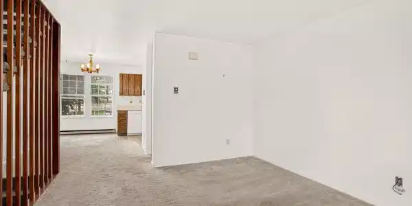 Image 4 Image 4