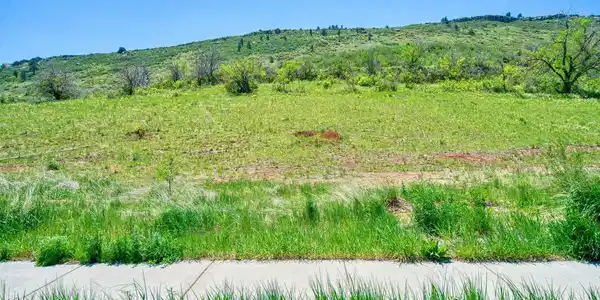352 McConnell Drive