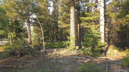 Lot 5768 Clawson Road