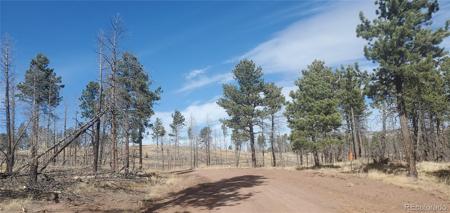 Lot 585 Leslie Loop