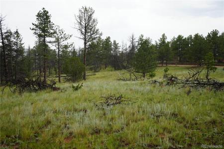 308 Chapparal Trail