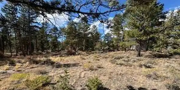 Image 2 Image 2