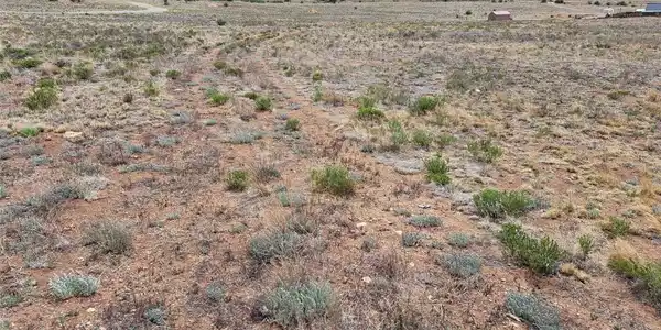 Image 4 Image 4